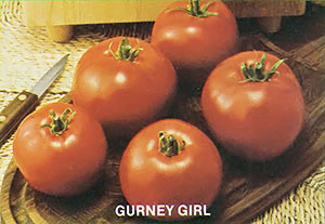 Preparing for Spring: New Seed Varieties and a New Herbs Book Image